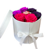 Lavender Preserved Rose Box 