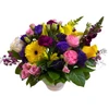 Heavenly Mother