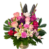 Marvelous And Enchanting Blooming