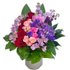Beautiful Blooming 