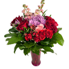 Tender Blossoming