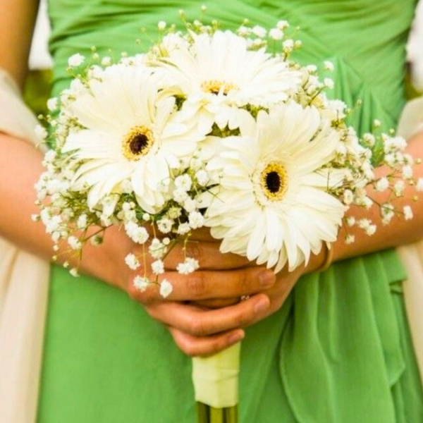 Bouquet White Gerberas # 8 — El Paso florist arrangement