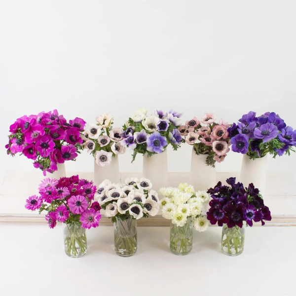 Anemone Wedding Wholesale — El Paso florist arrangement
