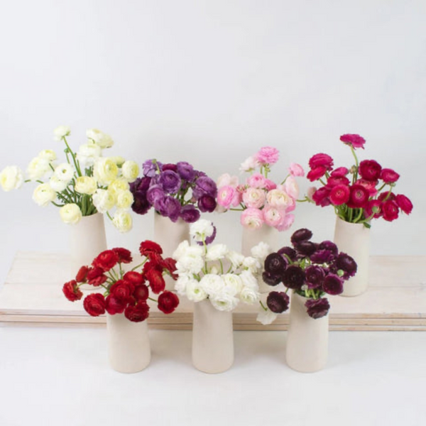 Ranunculus Wedding Wholesale — El Paso florist arrangement