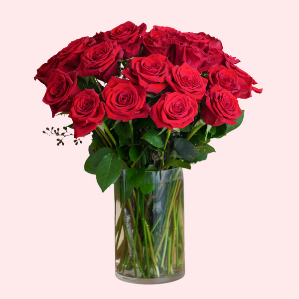 24 Red Roses — El Paso florist arrangement