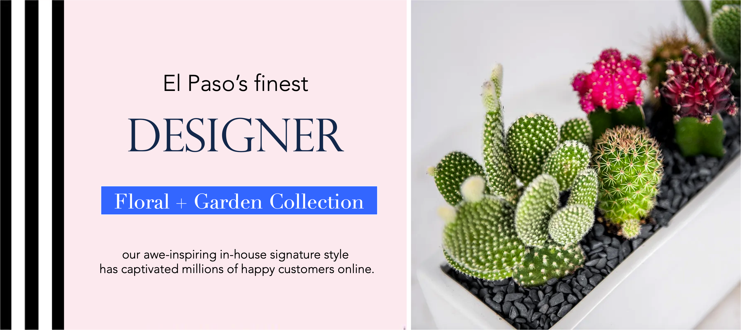 0-79912-angies-floral-designs-plants-0-1-bridal-el-paso-florist-79912-flowershop-flower-delivery-el-paso-luxury-flowers-angies-floral-el-paso-florist-79912-.png 0-79912-angies-floral-designs-plants-0-1-bridal-el-paso-florist-79912-flowershop-flower-delivery-el-paso-luxury-flowers-angies-floral-el-paso-florist-79912-.png
