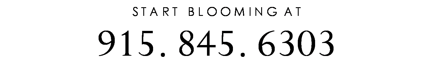 00angies-floral-designs-el-paso-flowershop-el-paso-florist-79912-bloom-box-divine-chocolate-tx-moet-chandon-bloom-macaroons-flower-arrangements.png