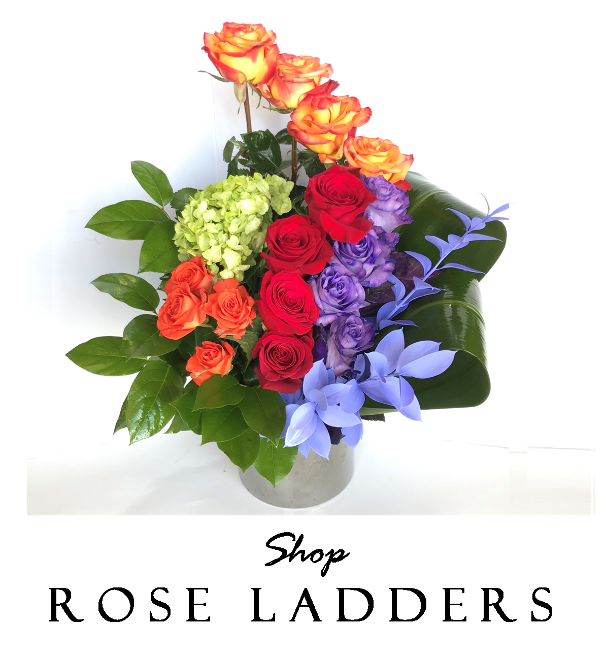 we-make-el-paso-bloom-with-luxury-gifts-rose-boxes-angies-floral-designs-angies-rose-ladders-floral-designs-rose-ladders-el-paso-florist-79912-west-angies-flower.png we-make-el-paso-bloom-with-luxury-gifts-rose-boxes-angies-floral-designs-angies-rose-ladders-floral-designs-rose-ladders-el-paso-florist-79912-west-angies-flower.png
