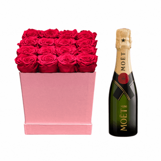 12 Rose Box + Moet — El Paso florist arrangement