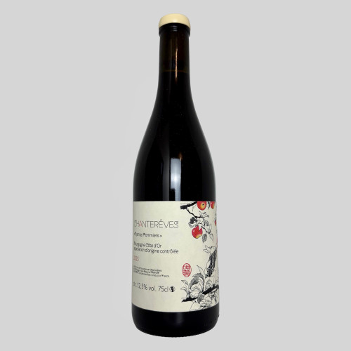 Chantereves 'Champs Pommiers' Bourgogne Rouge