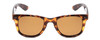 Coyote FP-35 Tortoise / Brown, front view.