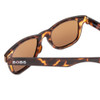 Coyote FP-35 Tortoise / Brown, frame and temple detail.