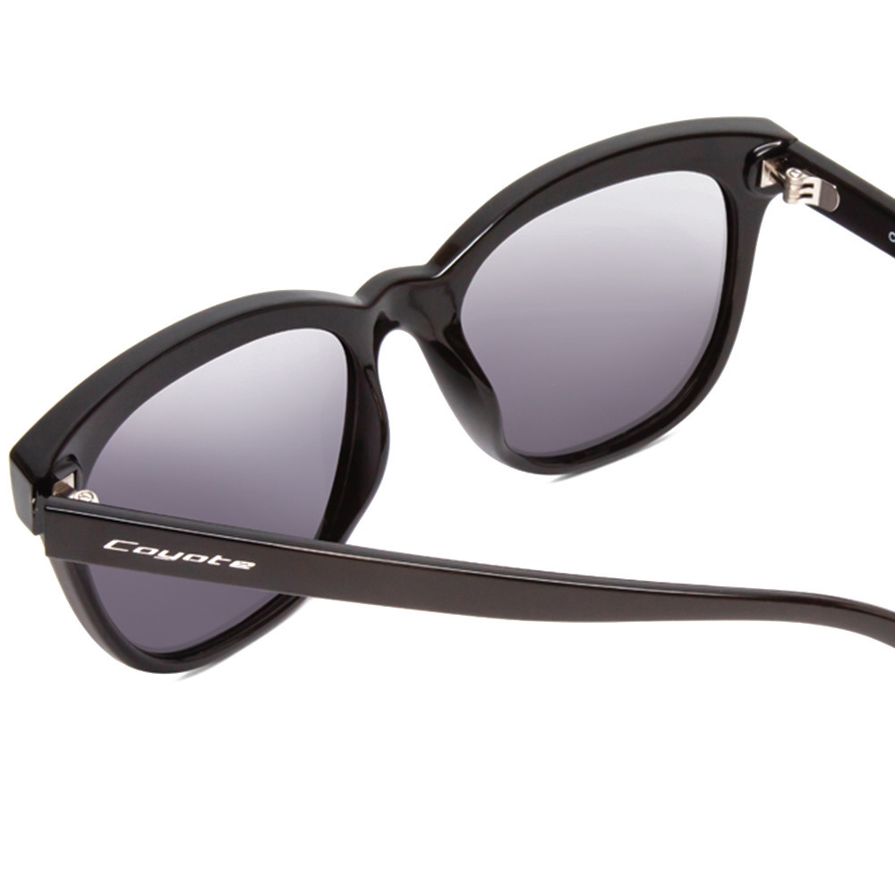 Coyote CHEYENNE Black / Gray, frame and temple detail.