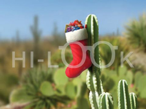 Holiday Christmas Theme Cleaning Cloth, Cactus Stocking
