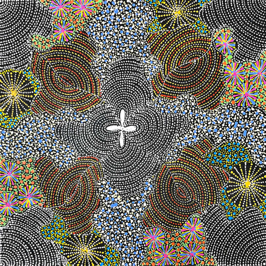 Original Artwork - GSP0222 - Susan Hunter Petyarre