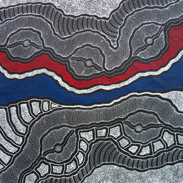 Aboriginal Artist Delvine Petyarre paints her Country.