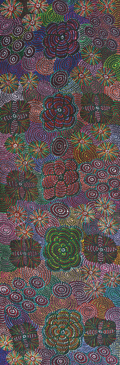 Original Artwork - MB056845 - Jessie Hunter Petyarre