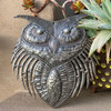 New Owl Metal Wall Art, Handmade in Haiti, Indoor Outdoor Garden Decorations, Upcycled Wall Hanging Artwork, Haitian Décor, 11 x 10.75 Inches 