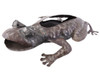 Dimensional Frog Planter, Home & Garden Decor, Handmade Haitian Metal Art