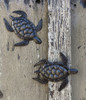 Sea Turtle, Metal Sea Turtles, Handmade Sea Turtles, Gifts for Turtle Lovers, Turtle Gifts, Reptile Gifts