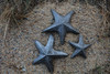 starfish indoor and outdoor Beach Home Decor, Haiti Metal Art