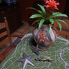 starfish indoor and outdoor Beach Home Decor, Haiti Metal Art