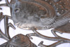 Signed metal art by Haitian Artist Louiceus Antelus