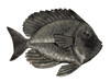 Small metal fish
