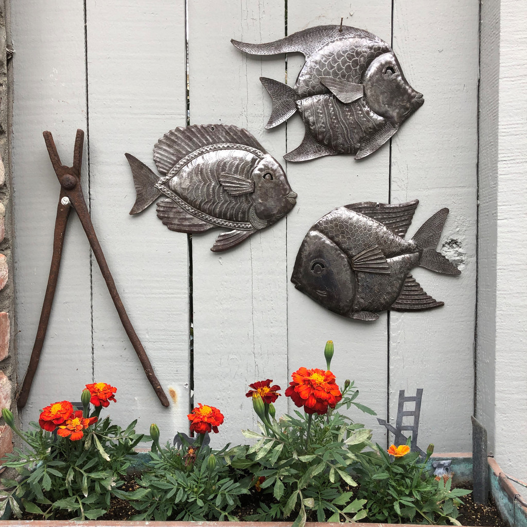 School of fish wall art, indoor outdoor pool art, Recycled steel Haiti