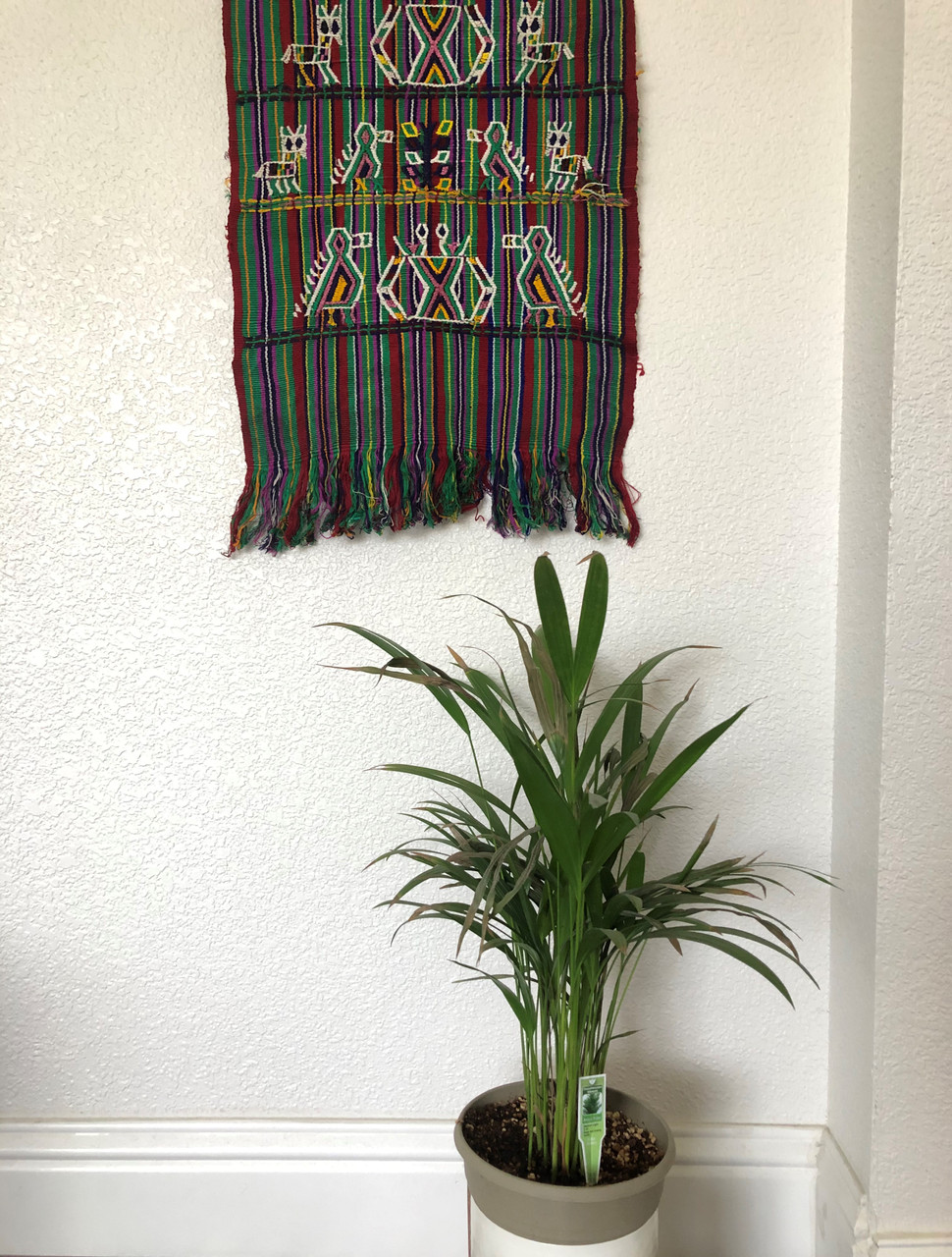 Green and Red Table Cloth,Shawl, or Decorative Wall Hanging, with Bird Motifs, Handwoven in Guatemala, Vintage Textile 15.25 x 46 Inches