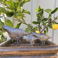 Garden Quail Stakes, Quail Markers, Garden Markers, Handcrafted Haitian Metal Art 