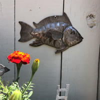Nautical Fish, Wall Hanging, Beach Themed Home Decor, Whimsical, Catch of The Day, 8.5 x 5.5 x 0.5 inches