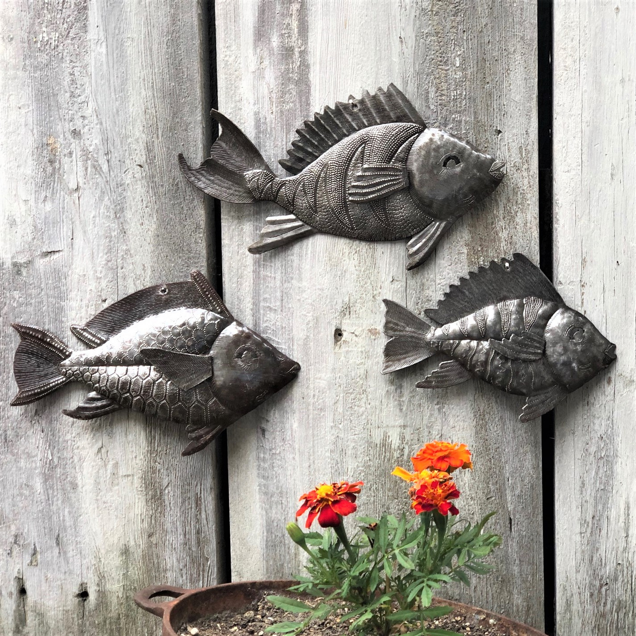 Metal art Haiti,School of fish, Nautical Fish, Set of 3, Wall Hanging,  Beach Themed Home Decor, Whimsical, Catch of The Day
