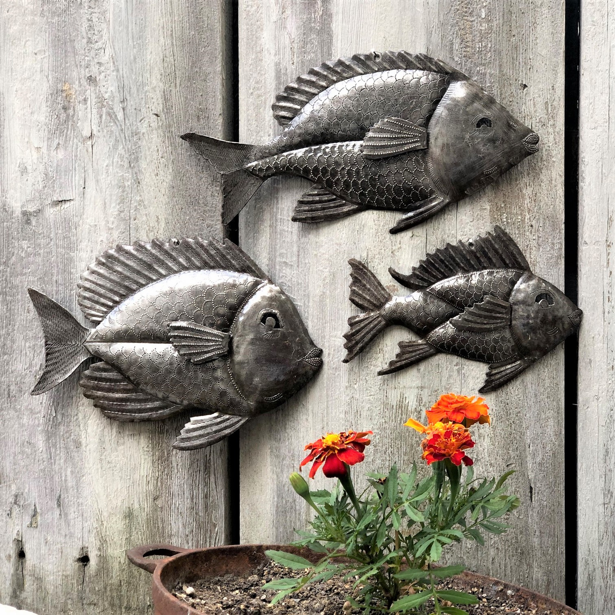 Haiti Metal Art - Recycled Steel Fish - Ocean life wall art, Its Cactus -  Garden, Indoor and outdoor, home decor