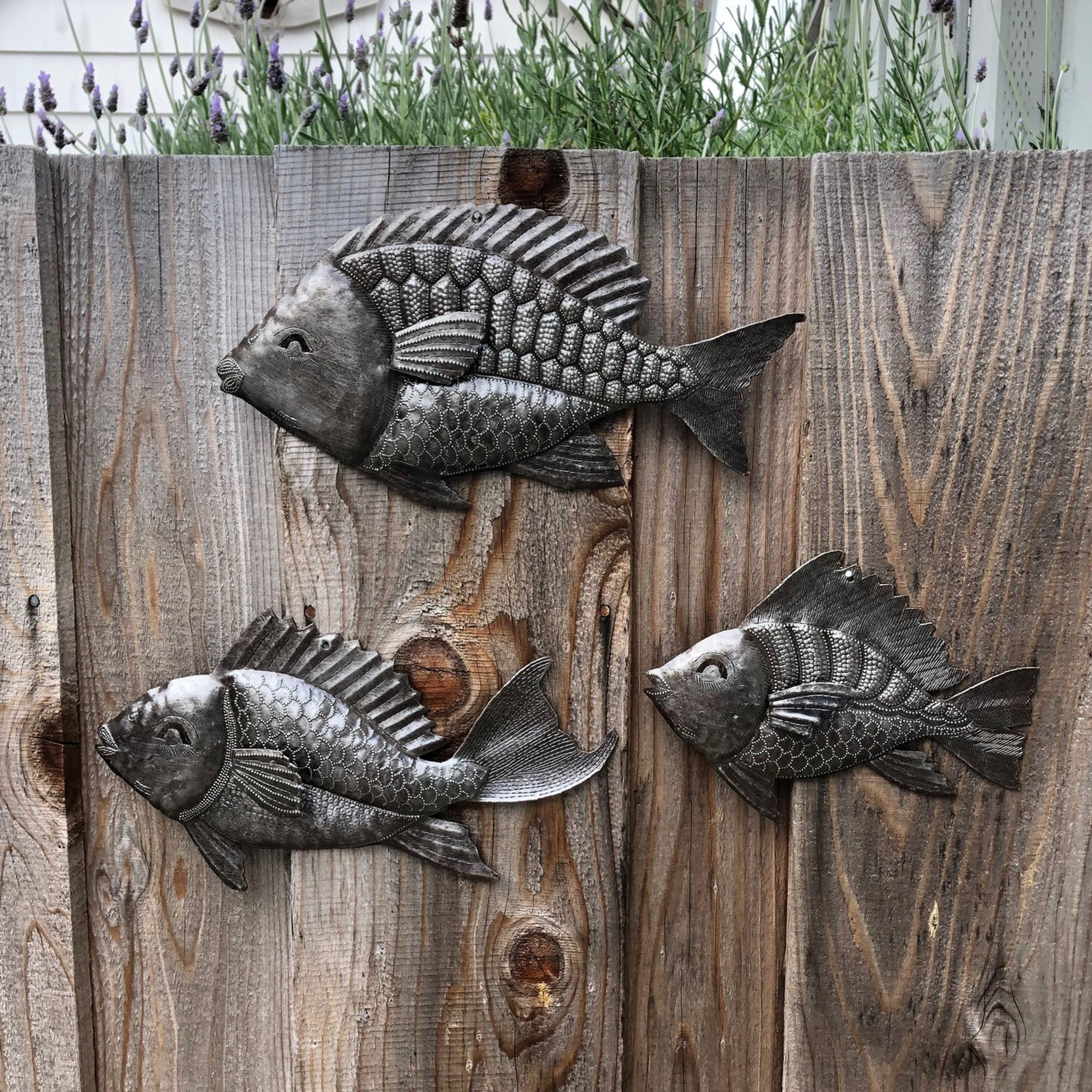 School of fish, Nautical Fish, Set of 3, Wall Hanging, Beach Themed Home  Decor, Whimsical, Catch of The Day