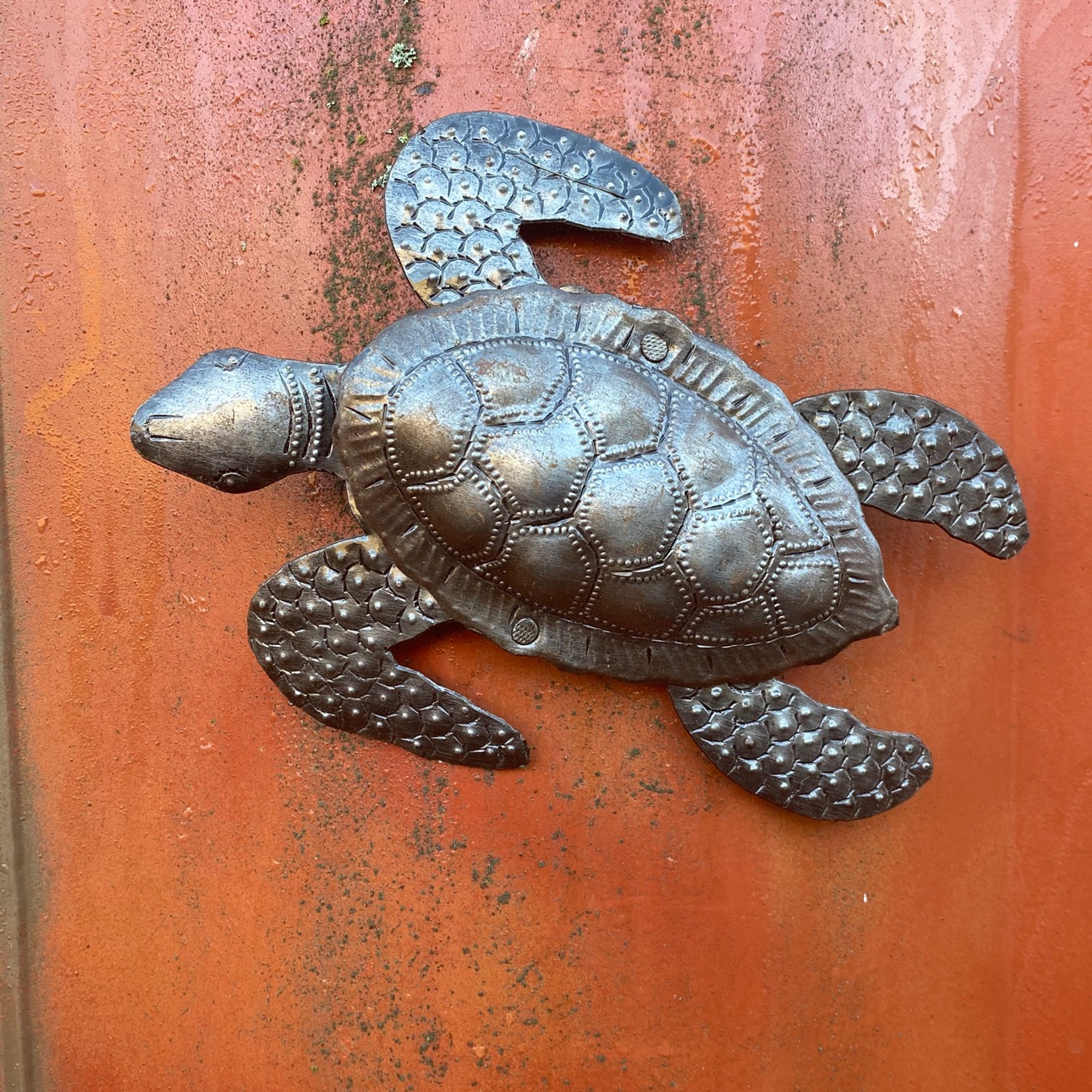 Small Metal Turtle, Beach Wall Art, Nautical, Starfish, Octopus, Sea life,  Home, House, Decorations Figurine Haiti Haitian