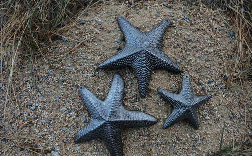 Tips for Sustainable Beach Trip