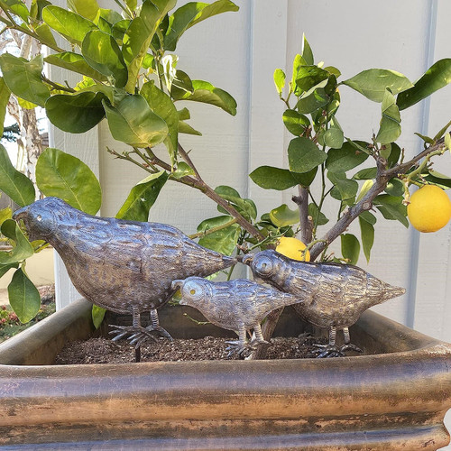 Garden Quail Stakes, Quail Markers, Garden Markers, Handcrafted Haitian Metal Art  Garden Quail Stakes, Quail Markers, Garden Markers, Handcrafted Haitian Metal Art