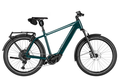 Riese & Muller Charger5 touring in Pine