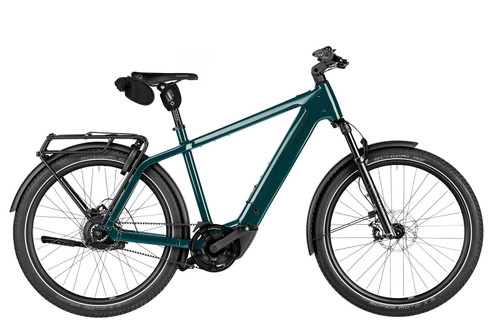 Riese & Muller Charger5 vario in Pine