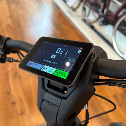 Riese & Muller Homage5 GT Pinion in Warm Silver Riese & Muller Homage5 GT Pinion in Warm Silver