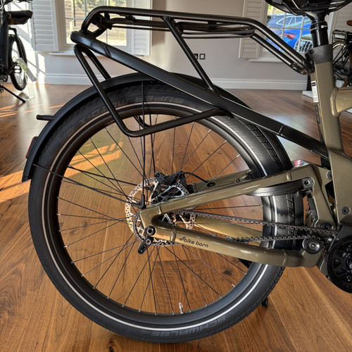 Delite5 GT Pinion in Amber Delite5 GT Pinion in Amber