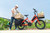 Tern DuoStand S