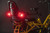 Tern Nitelite Rear (Red)