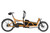 Riese & Muller Load5 60 rohloff in Peanut