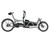 Riese & Muller Load5 60 rohloff in Tundra grey