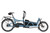 Riese & Muller Load5 60 rohloff HS in Arctic