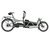 Riese & Muller Load5 60 rohloff HS in Tundra grey