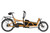 Riese & Muller Load5 60 rohloff HS in Peanut
