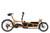 Riese & Muller Load5 75 touring in Peanut